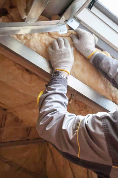 Best Residential Insulation in Maplewood, MN