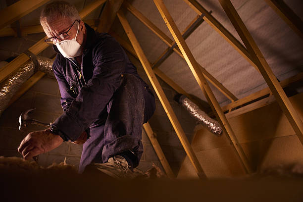 Best Types of Insulation in Maplewood, MN